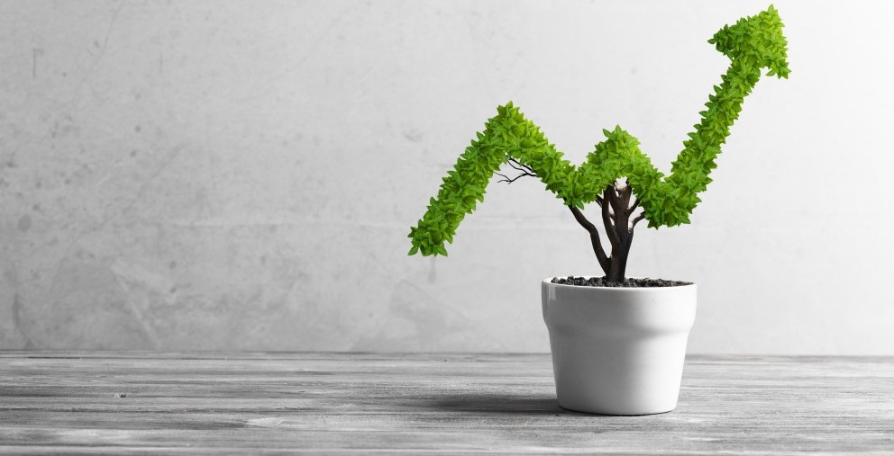 აუთსორსინგ სერვისები